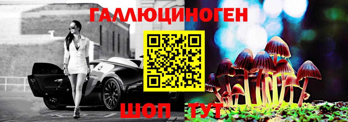 Галлюциногенные грибы MAGIC MUSHROOMS  Вход с VPN  Киржач 